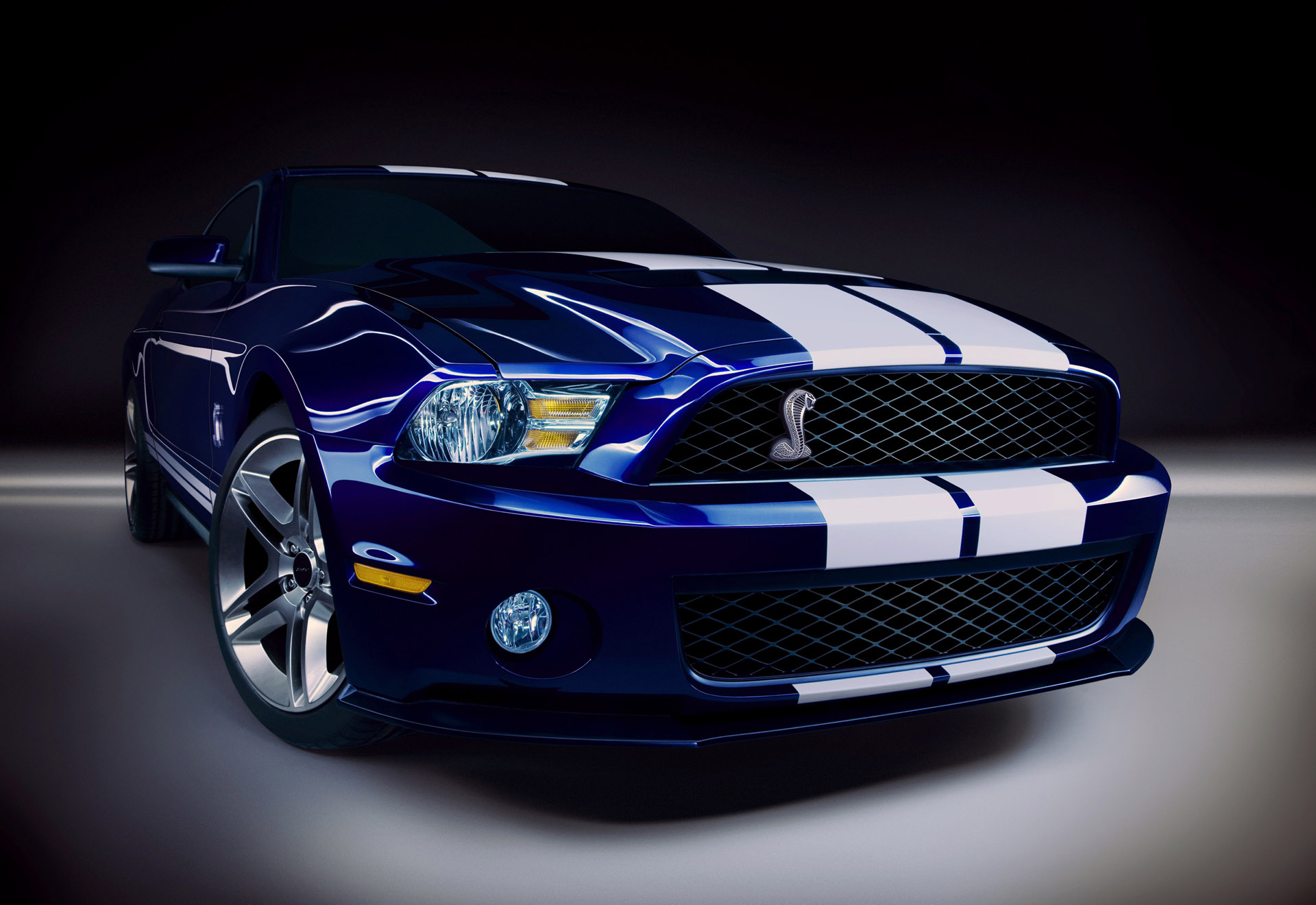 ford shelby 
